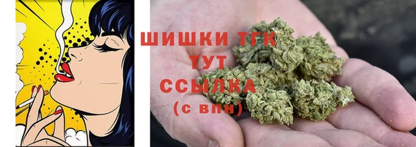 индика Новокубанск