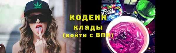 индика Новокубанск