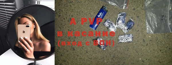 индика Новокубанск