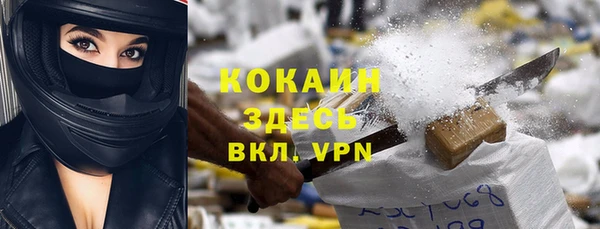 индика Новокубанск