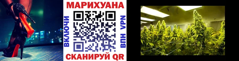 наркотики  Правдинск  Бошки Шишки сатива 